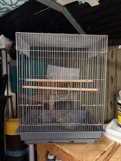 Bird Cage with Wooden Perch