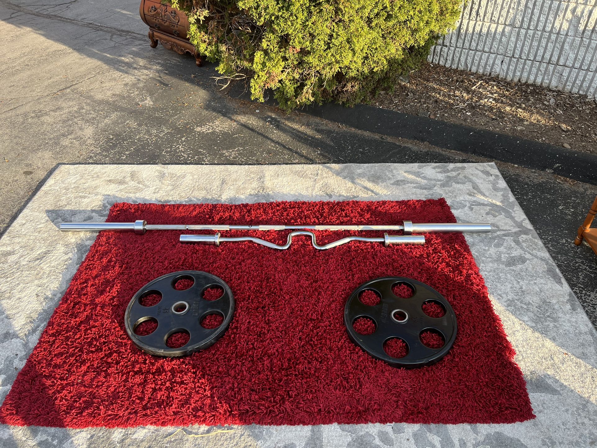 Magnum 45 Lbs 2 with Curl bars set