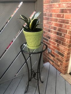 Wrought iron plant stand
