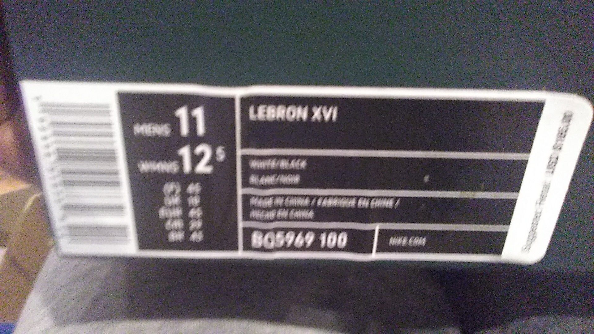 LeBron 16 authentic  Shoes