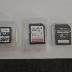Hoodman Steel 128GB V90 SDXC + SanDisk Ultra Plus 64GB + PNY 16GB SD Cards