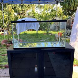 50 Gallon Fish Tank / 50 Gallon Fish Tank With Lid And Stand 