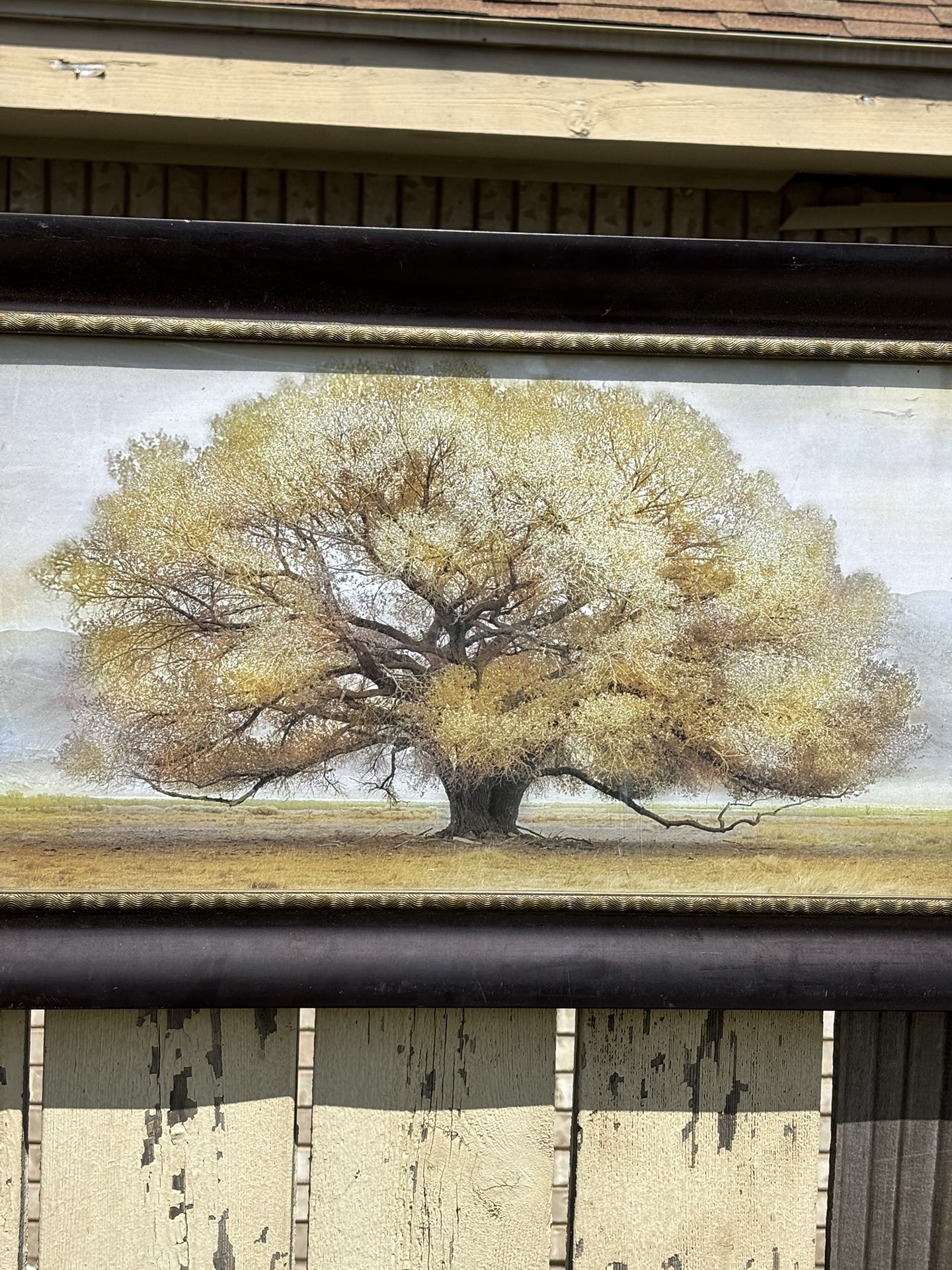 40X16 Wall Decor
