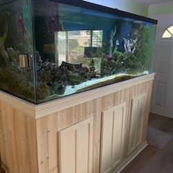 220 Gallon Fish Tank 