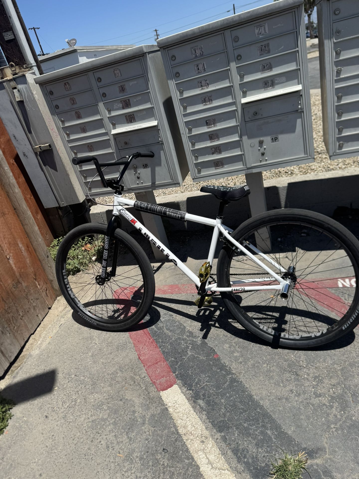 Street Bike 29 Inch 