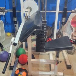 Paramount Bicept Curl Seated Machine