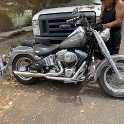 2006 Harley Davidson Softail Softail