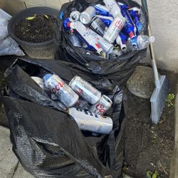 Recycle Cans And Plastic