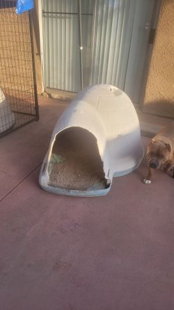 Dog House