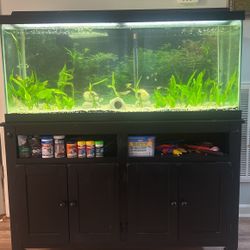 75 gallon fish tank with stand 
