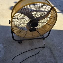 Fan