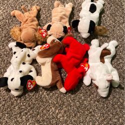 Ty Dogs Collectible