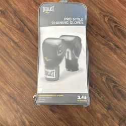 Everlast 14oz Pro Style Training Gloves