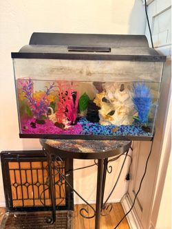 Fish tank with Fish included.