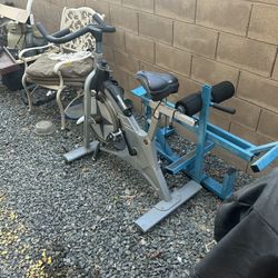 Spin Exercise Bike Schwinn