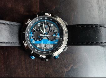 Citizen watch