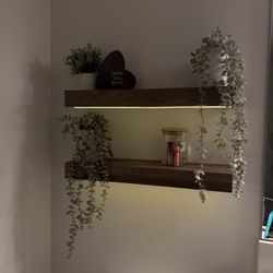 Floating Shelves