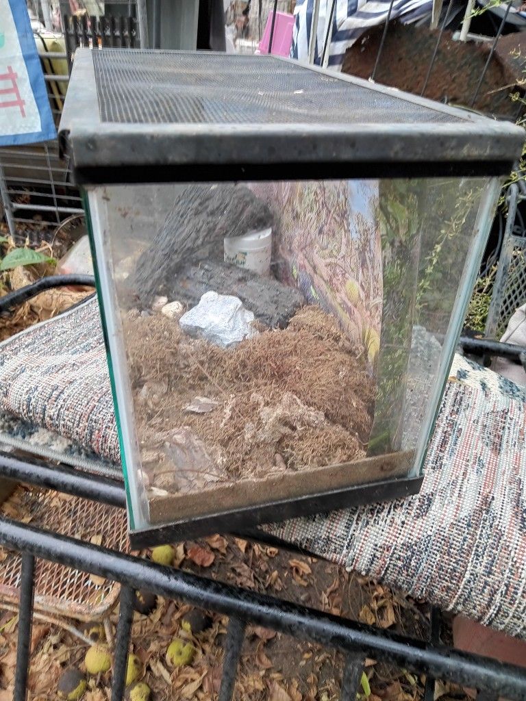 Fish Tank