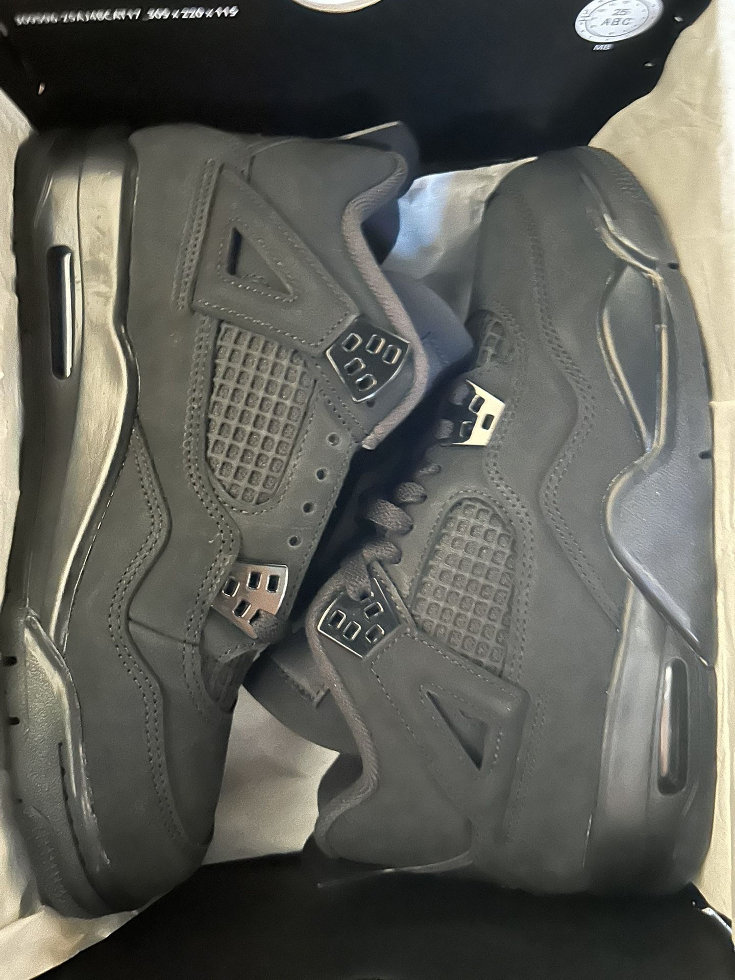 Black Cat Jordan 4 2025