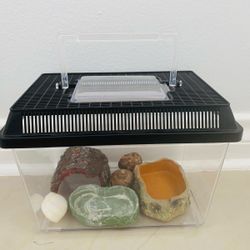 Best Gift! A small size terrarium tank! You need Just hermit crab!   H6.58xW9xD6 Feeding and water conteiners. Overall Price More Than $60