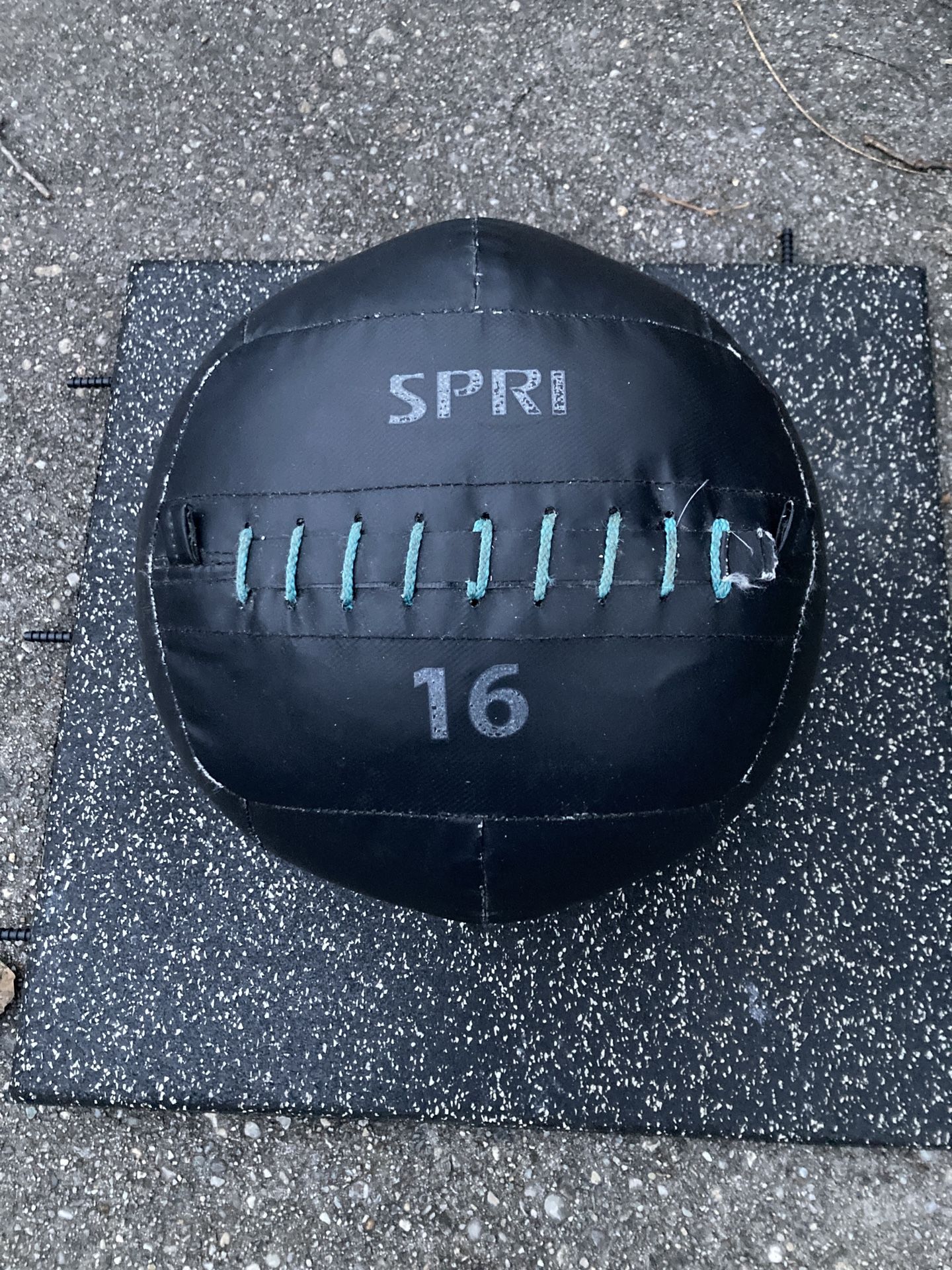 SPRI 16 Lb Wall Ball