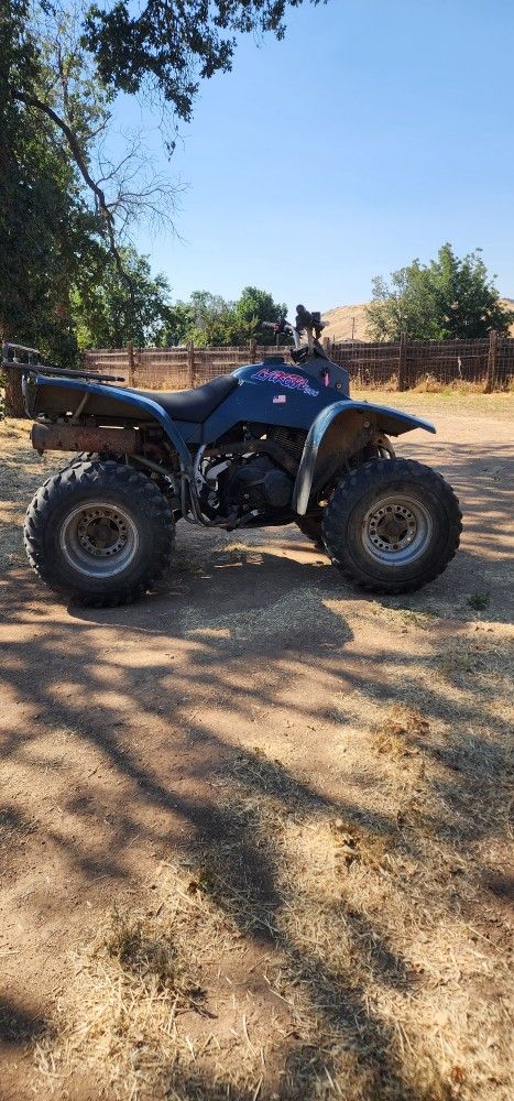 1995 Kawasaki Lakota 300 2wd