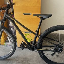 Specialized Pitch Stout Mountain Bike