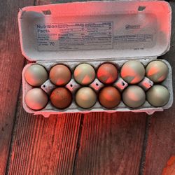 Fresh Eggs For Sale 