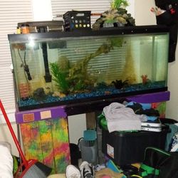 Full Set Aquarium 