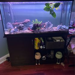65 Gallon Tank And Stand And Filter 