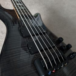 Spector NS-5 5 String Bass Guitar (2009) with hardshell case