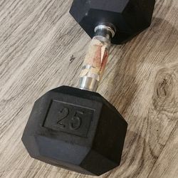 25lb dumbell