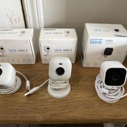3-Blink Security/Pet Cameras