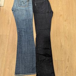 Women's Citizen and Page Designer Jeans