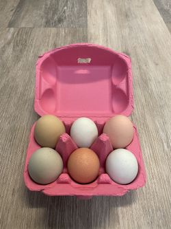 Farm Fresh Rainbow Eggs