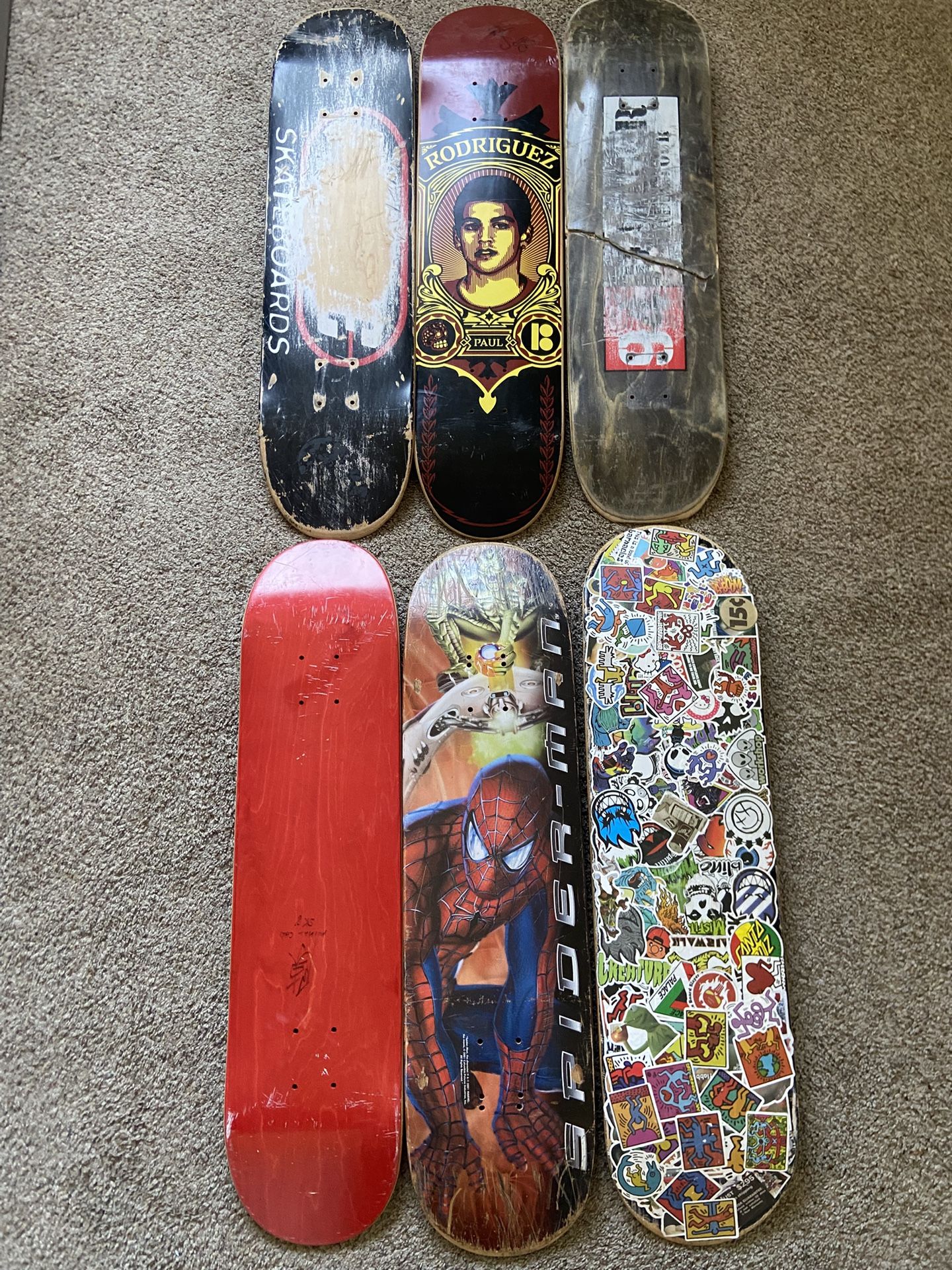 Skate Board
