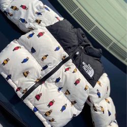Toddler North Face 