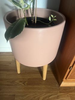 West Elm Planter - Large Pink