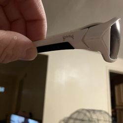 Street King Sunglasses