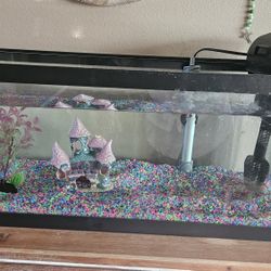 20 Gallon Fish Tank