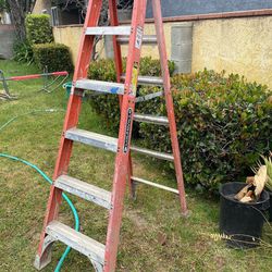 6 Foot Ladder