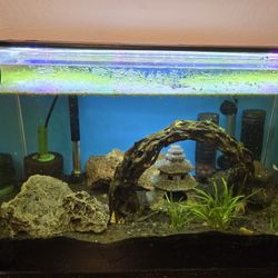20 Gal Tank With Accessories 