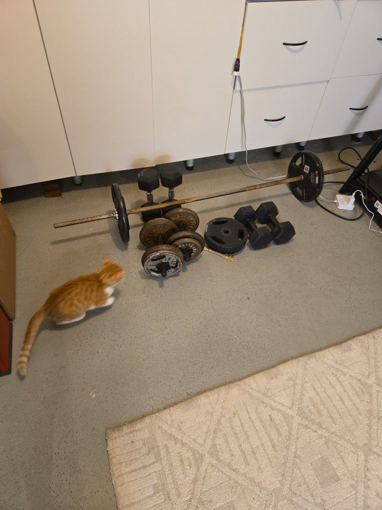 Weights Bundle Starter Set