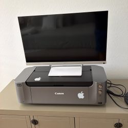 Cannon PRO-100 With Ink , Monitor HP Pavilion 