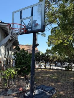 Lifetime Basketball Hoop