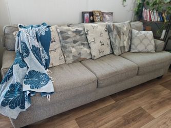 Grey sofa with dog pillows