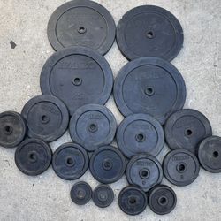 Ivanko Rubber Encased Steel Weights Good Solid Weight These Are Standard Size Plates