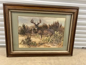 Whitetail Deer printed frame