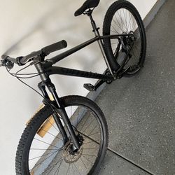 29er Specialized Stumpjumper 