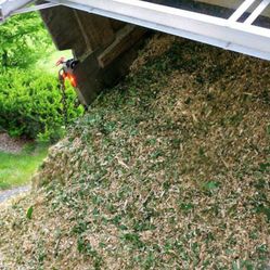 Free mulch